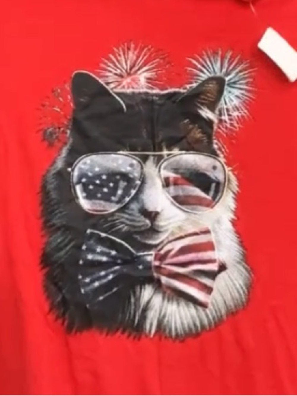 Red Graphic T-Shirt with Cat, American Flag & Sunglasses